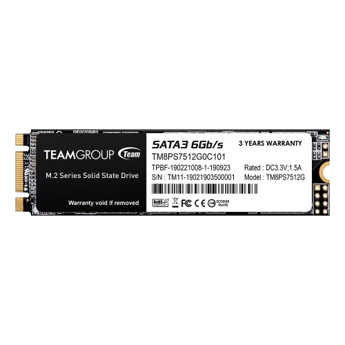 TEAMGROUP MS30 M.2 256GB SSD